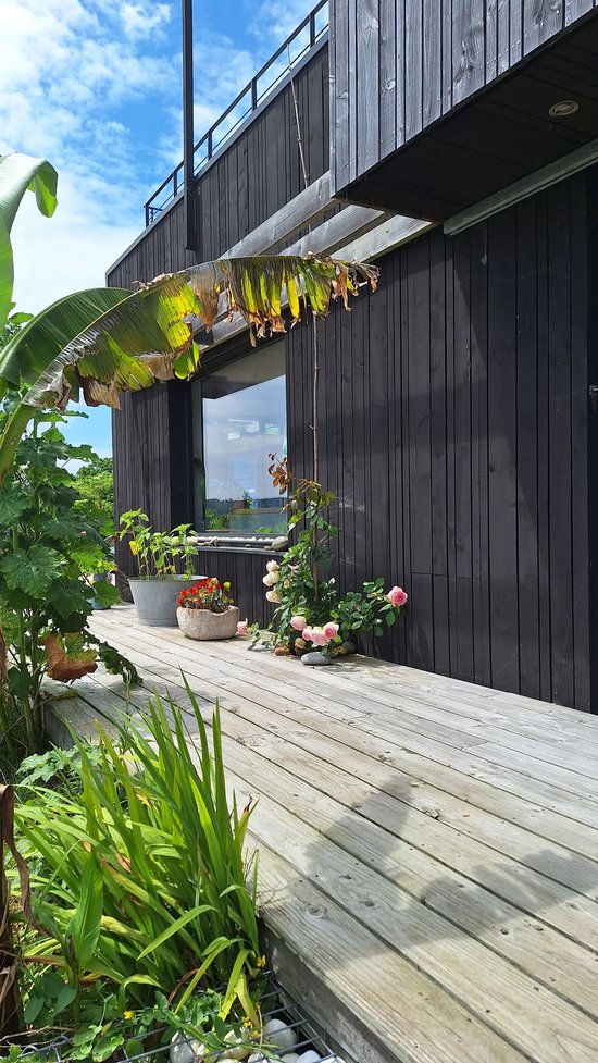 Projet Hôpital-Camfrout.jpg