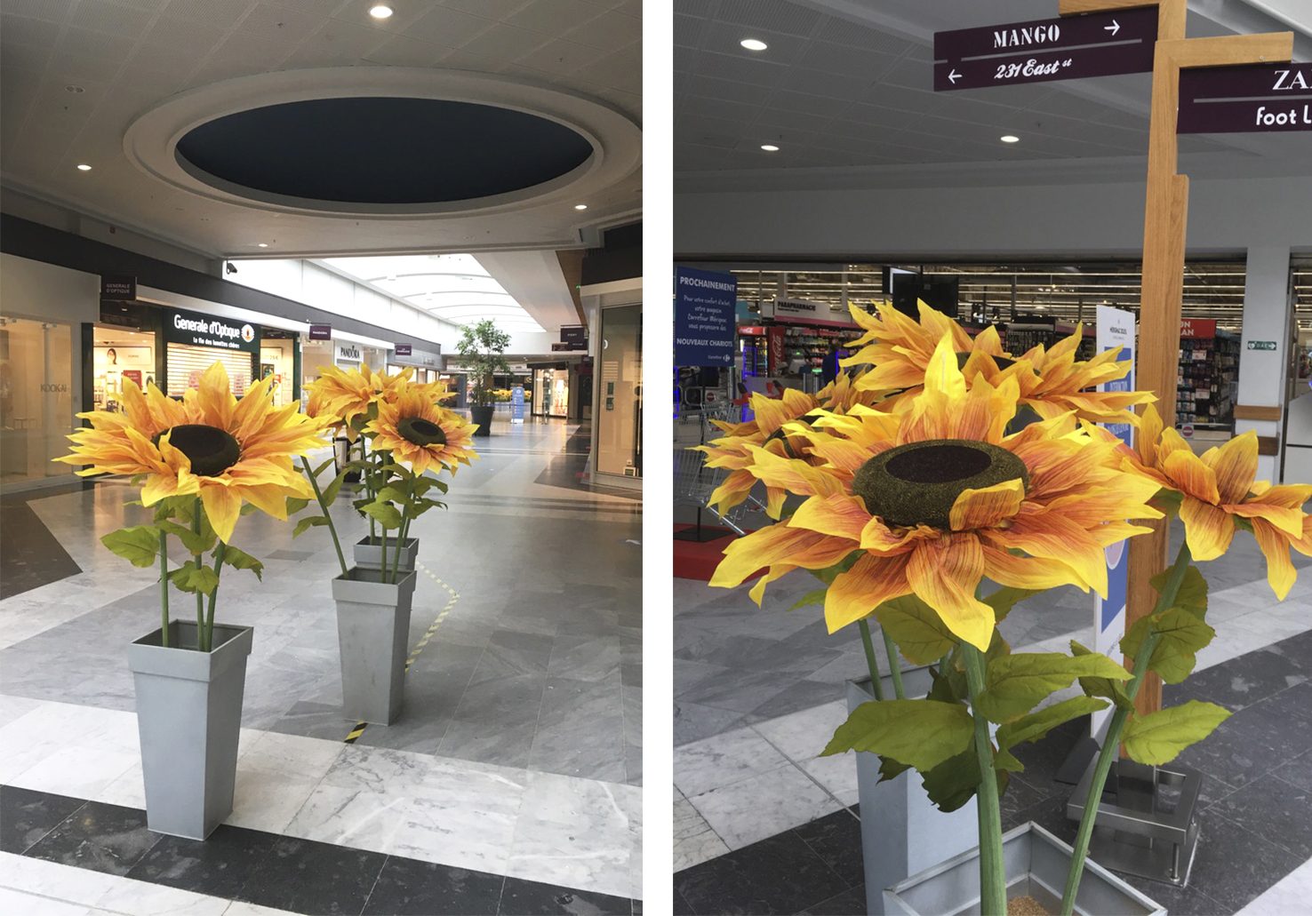 Scénarisation du mail du centre avec 50 pots de tournesols factices surdimensionnés