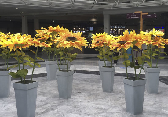 Scénarisation du mail du centre avec 50 pots de tournesols factices surdimensionnés