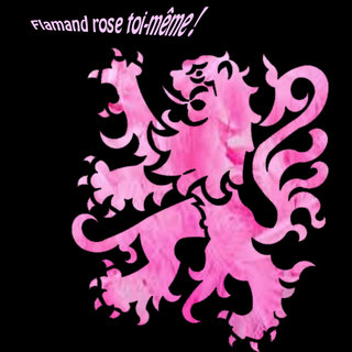 flamand-rose.jpg