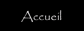 accueil book