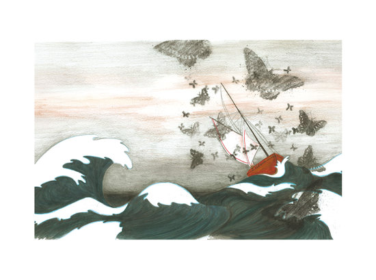 la tempête 40€ + frais de port