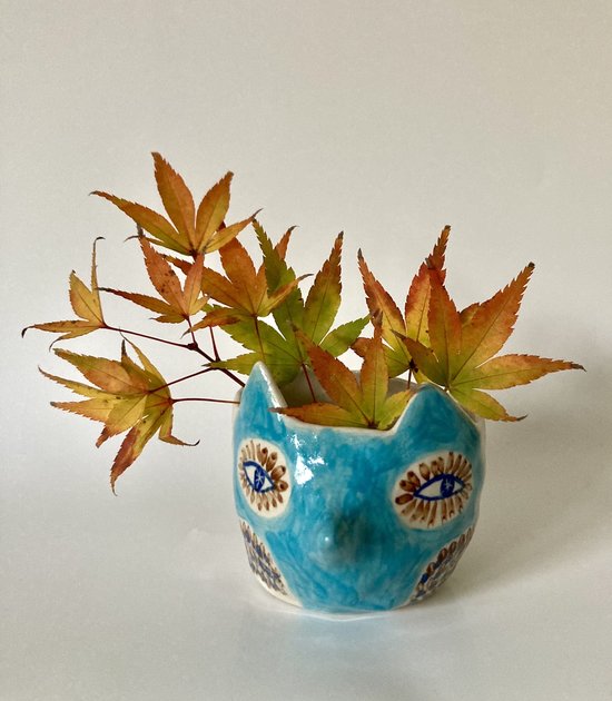 Chouette d'automne