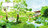Le jardin japonais