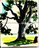 Le plus bel arbre de l'île
