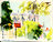 Ste Blandine