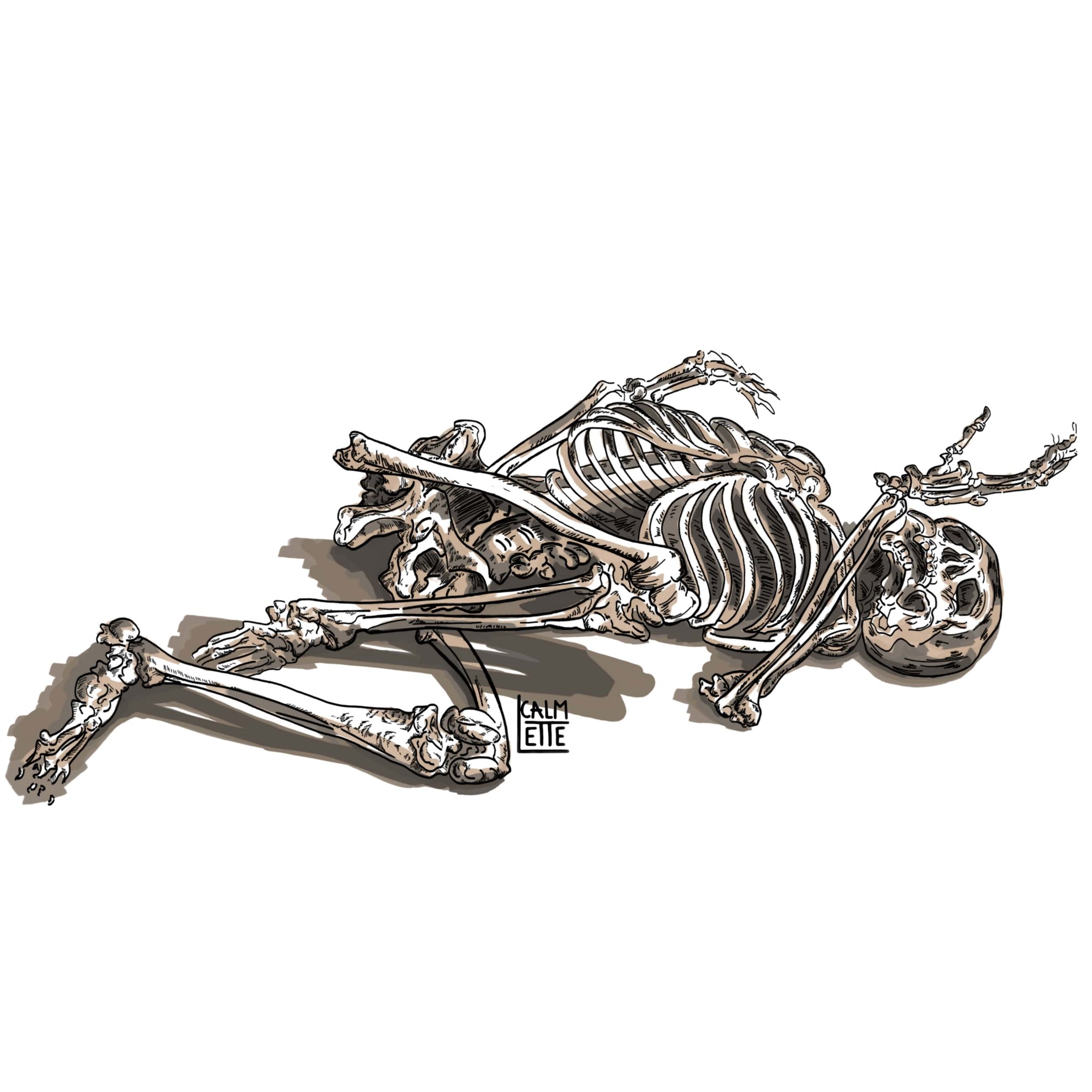 Squelette.jpg
