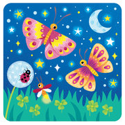 Papillons de nuit