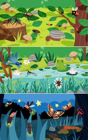 Imagiers insectes