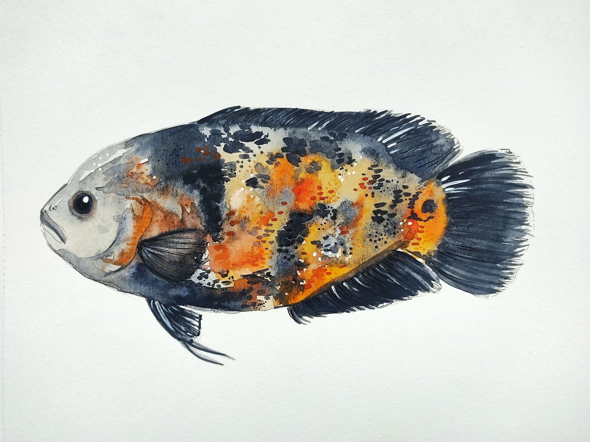 Dessin poisson aquarelle
