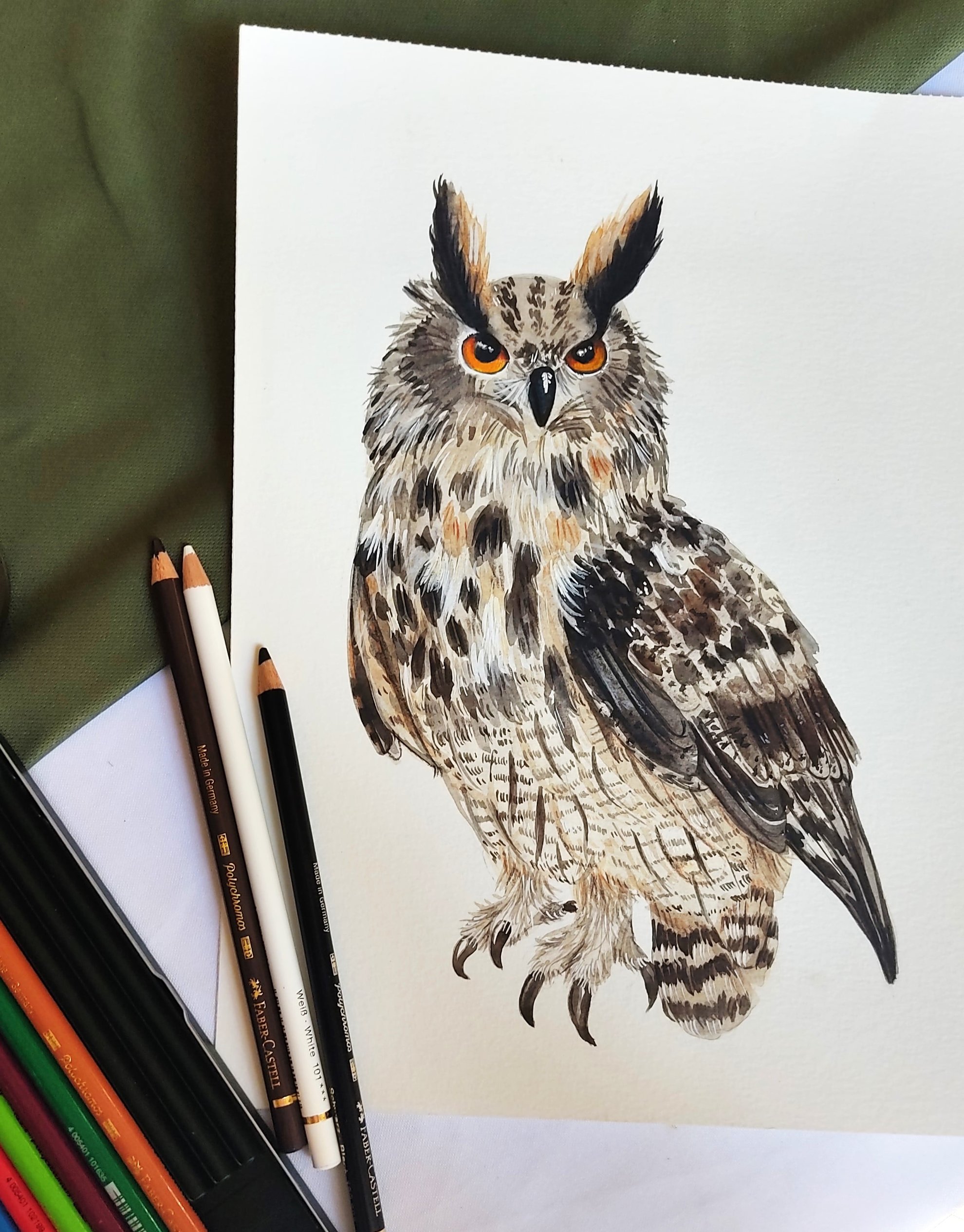 Hiboux grand duc à l'aquarelle