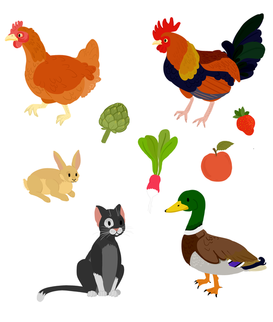 Animaux de la ferme
