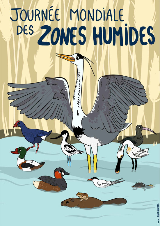 Poster Journée Mondiale des Zones Humides