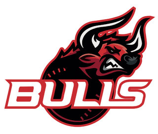 Logo pour Bulls BaseballClub