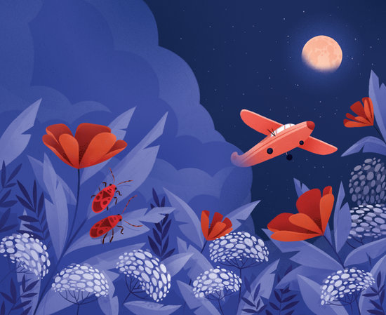 Le petit avion qui était amoureux de la lune  (A la recherche d'un éditeur)