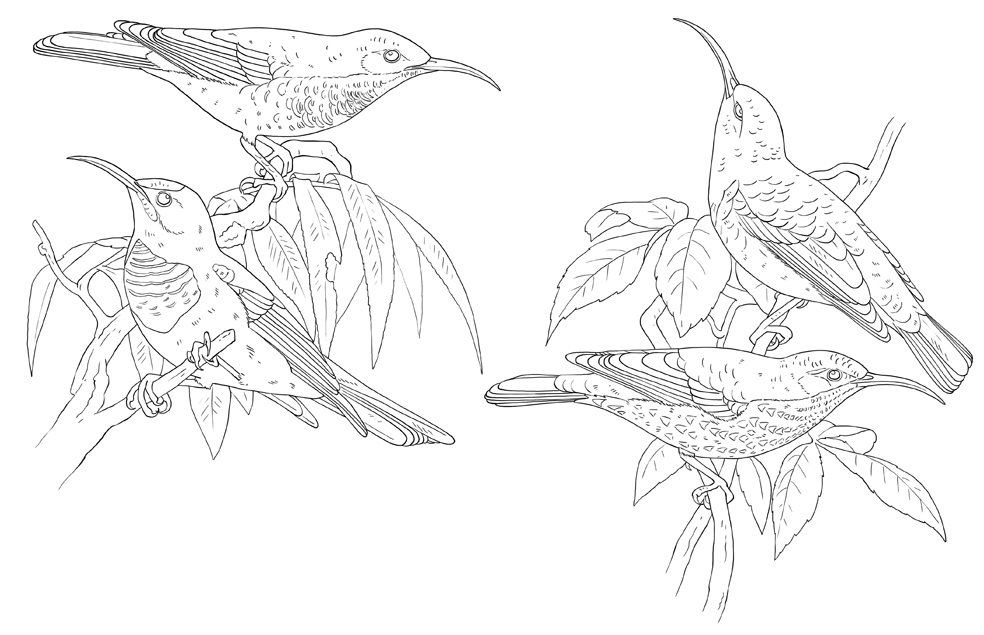 Lise Herzog illustrations Portfolio Jeux méthodes et jeux and coloriage p