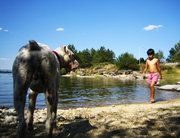 DOGGY 2