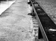 PARIS BLACK & WHITE 2