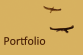portefolio