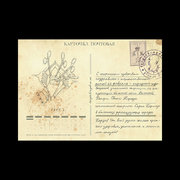 February, 23 postcard
