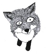 little fox