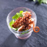 Octopus Macropus