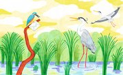 Le martin pêcheur et le héron - Les messagers