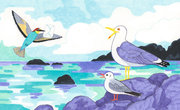 Le guêpier, la mouette et le goëland - Les messagers