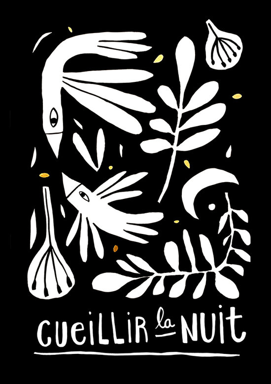 Cueillir la nuit