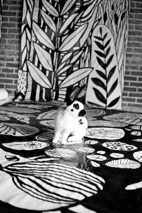 Fresque papier I La Civette à l'atelier