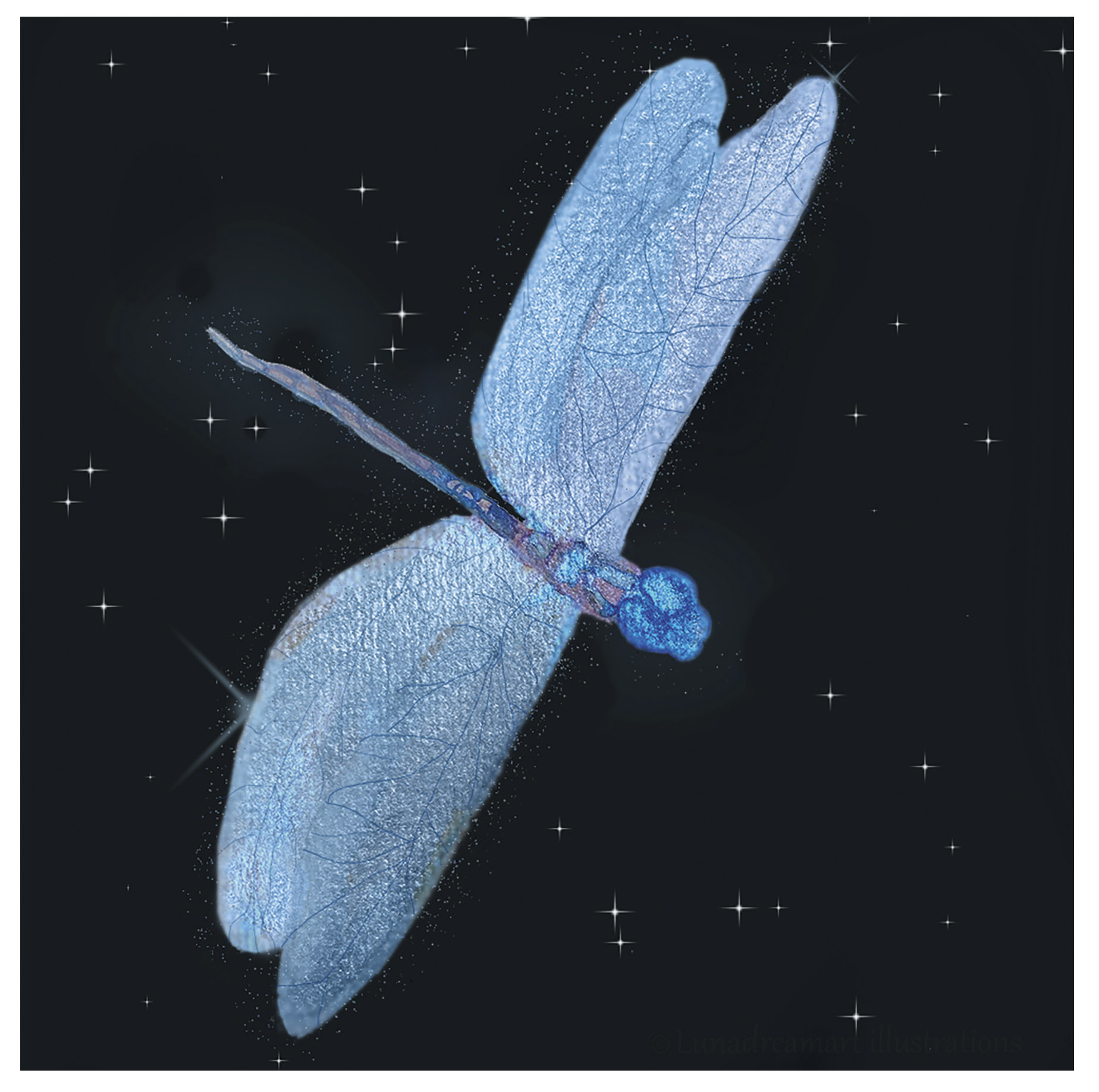 libellule cosmique