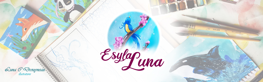 Luna C.Drouyneau | Ultra-bookQui est l'artiste ? : CV Artistique