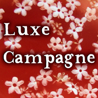 Ultra-book de luxe-campagne : Ultra-book