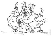 3 poules