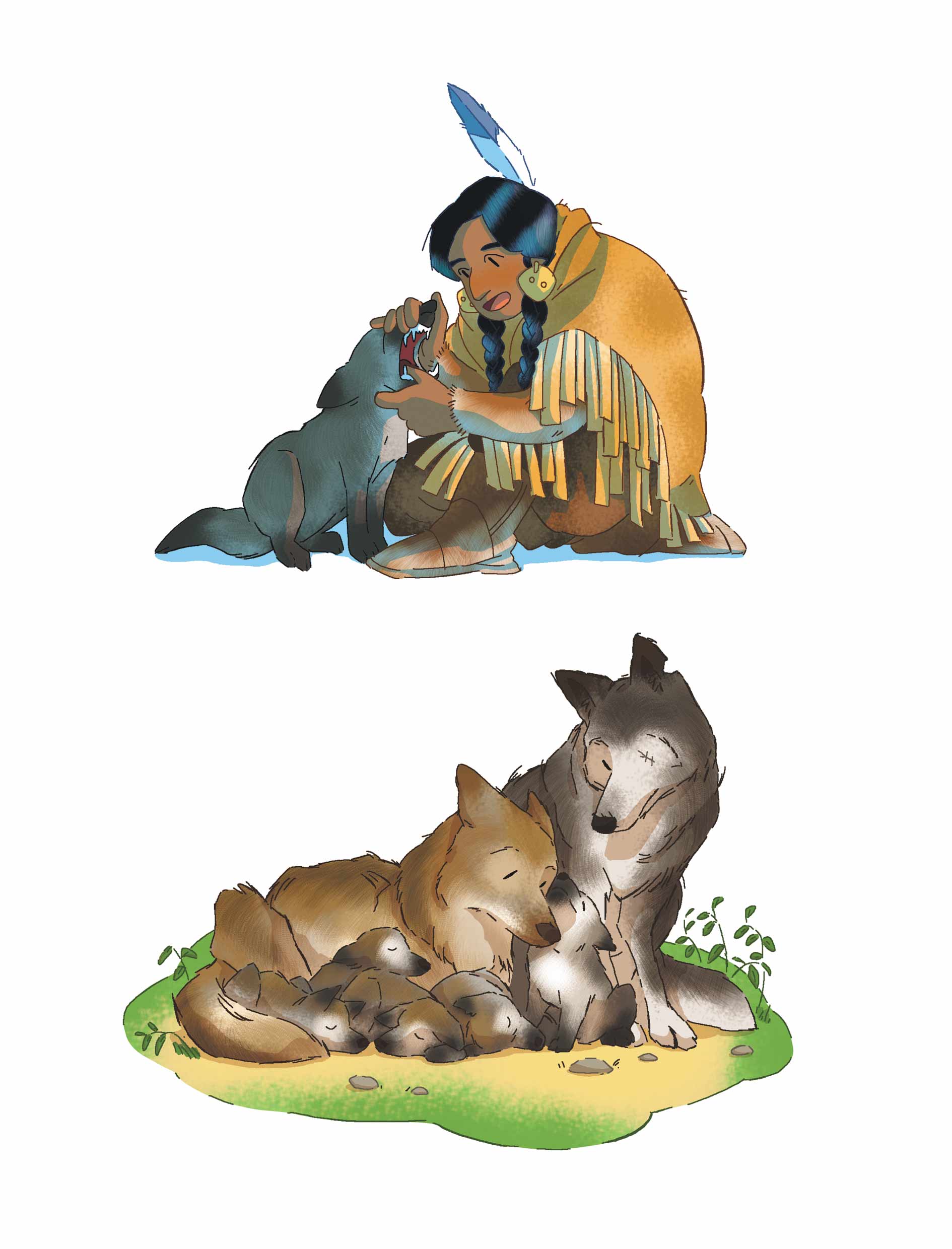 Vignettes pour le livre "White Fang" de la collection Harrap's Read In English paru aux éditions Larousse (février 2023) - madelyne lutz - illustrateurs/rices-jeunesse