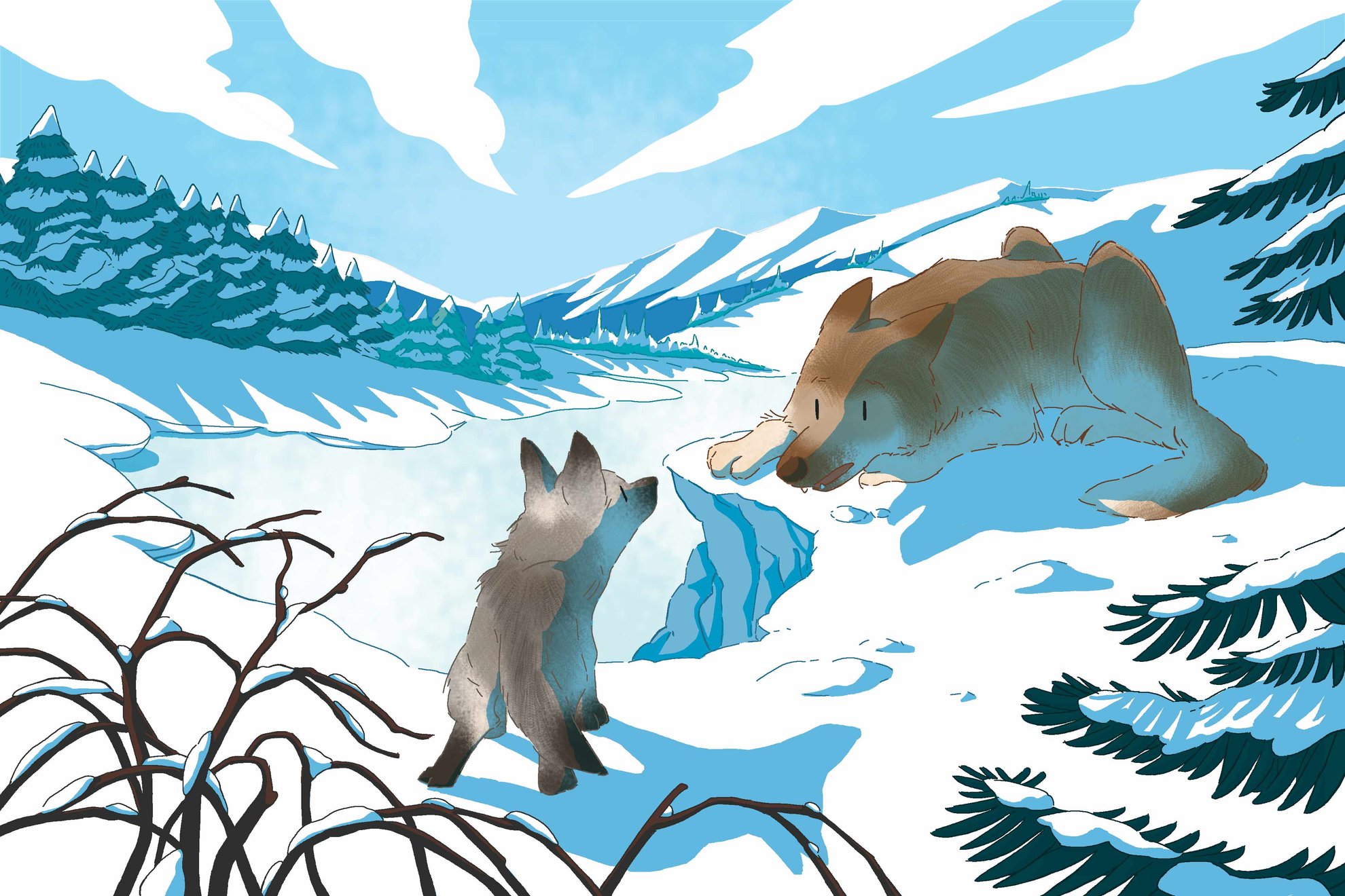 Illustration pour le livre "White Fang" de la collection Harrap's Read In English paru aux éditions Larousse (février 2023) - madelyne lutz - illustrateurs/rices-jeunesse