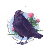 Animal totem * Corbeau