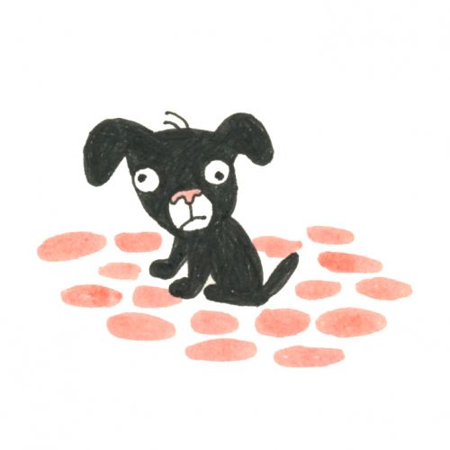Marion Piffaretti-illustrateur jeunesse
