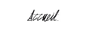 accueil book