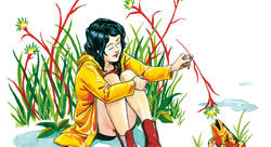 crapaud - Manuel Lieffroy-illustrateur