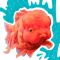 Margot Poupet-illustrateur