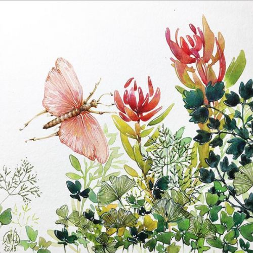 marianne faure-desforges - illustrateurs/rices