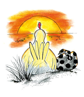 Neuguette la poulette / Ed. Frimousse