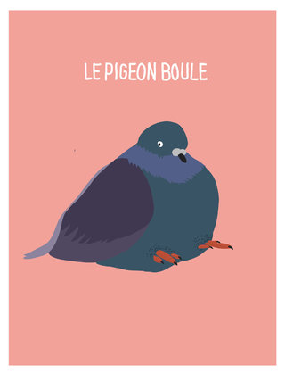 le pigeon-05.jpg