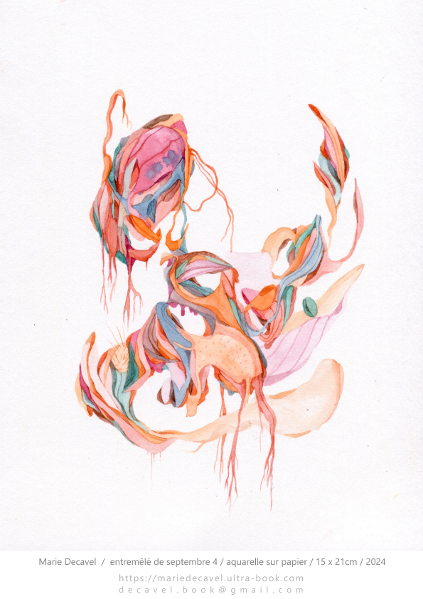 marie decavel_aqua book 2024_3.jpg<br/><span></span>