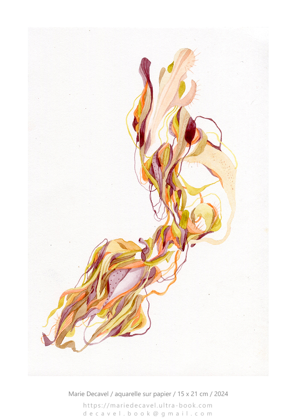 marie decavel_aqua book A5 orange.jpg<br/><span></span>