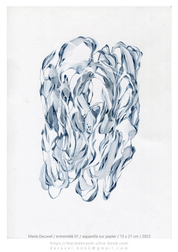 marie decavel_aqua book gris.jpg<br/><span></span>