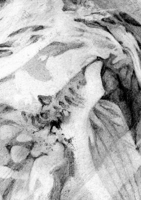 marie decavel_ aqua book DETAIL graphite.jpg<br/><span></span>