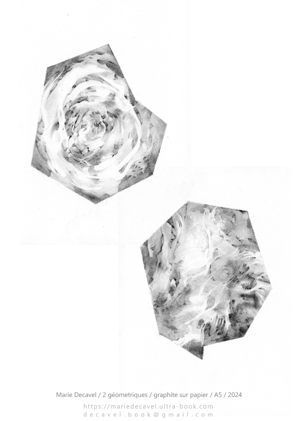 marie decavel_ aqua book graphite.jpg<br/><span></span>