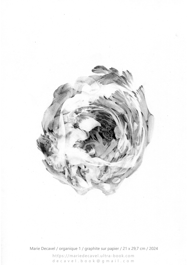 marie decavel_ aqua book graphite-3.jpg<br/><span></span>